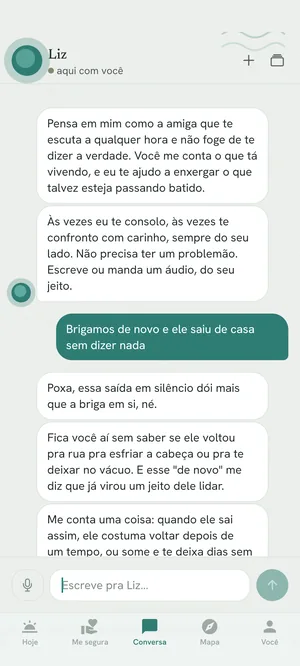 Tela de conversa entre a pessoa e a Liz, com mensagens trocadas.