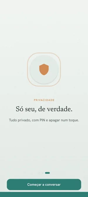 Tela de privacidade dentro do aplicativo, com a opção de apagar tudo.